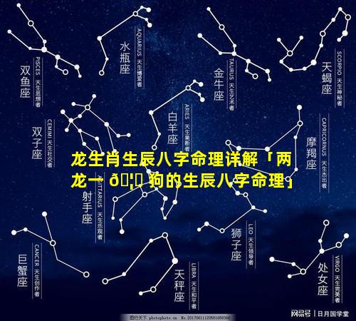 龙生肖生辰八字命理详解「两龙一 🦊 狗的生辰八字命理」